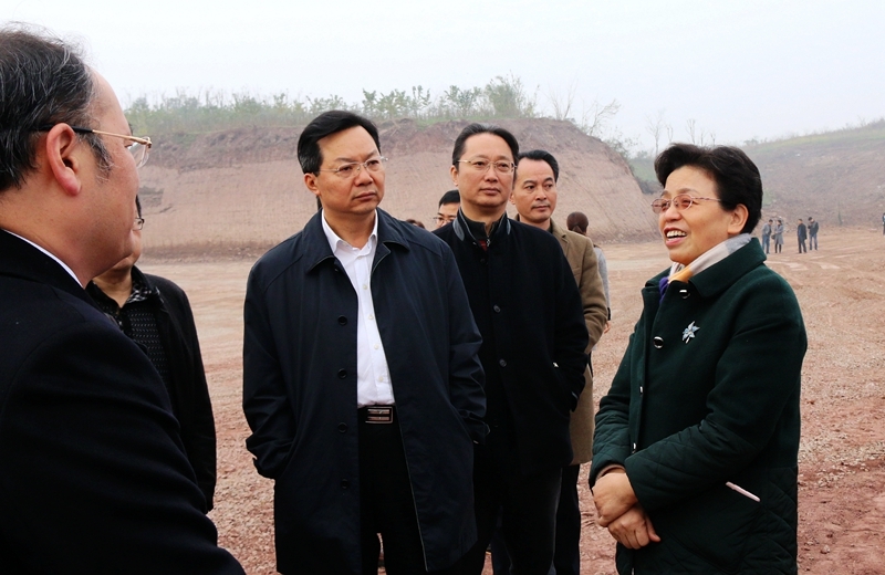 省政協副主席，省總工會主席李登菊率省督導組 到公司建設工地衛康院綜合體項目督導工作