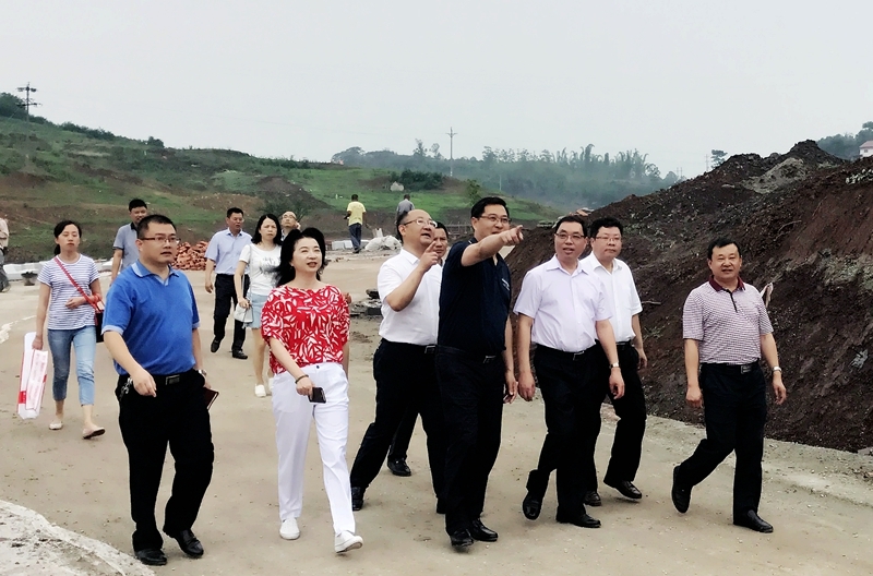 劉永湘市長視察航空產業園及玉章故里項目進展