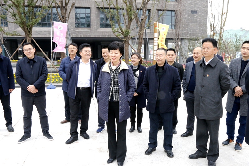 市委常委、組織部部長劉敏率領我市的省第十一次黨代會代表團蒞臨我公司經略長豐、衛康院項目進行調研視察