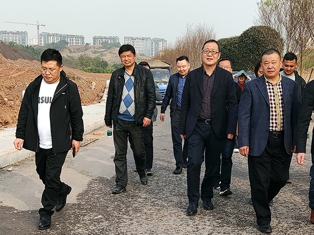 市委常委、高新區黨工委書記張邦舉帶隊視察督導公司臥龍湖西區生態修復工程項目建設推進情況