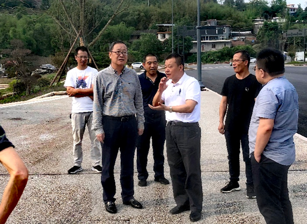 張常委率隊視察臥龍湖西區生態修復工程建設推進情況