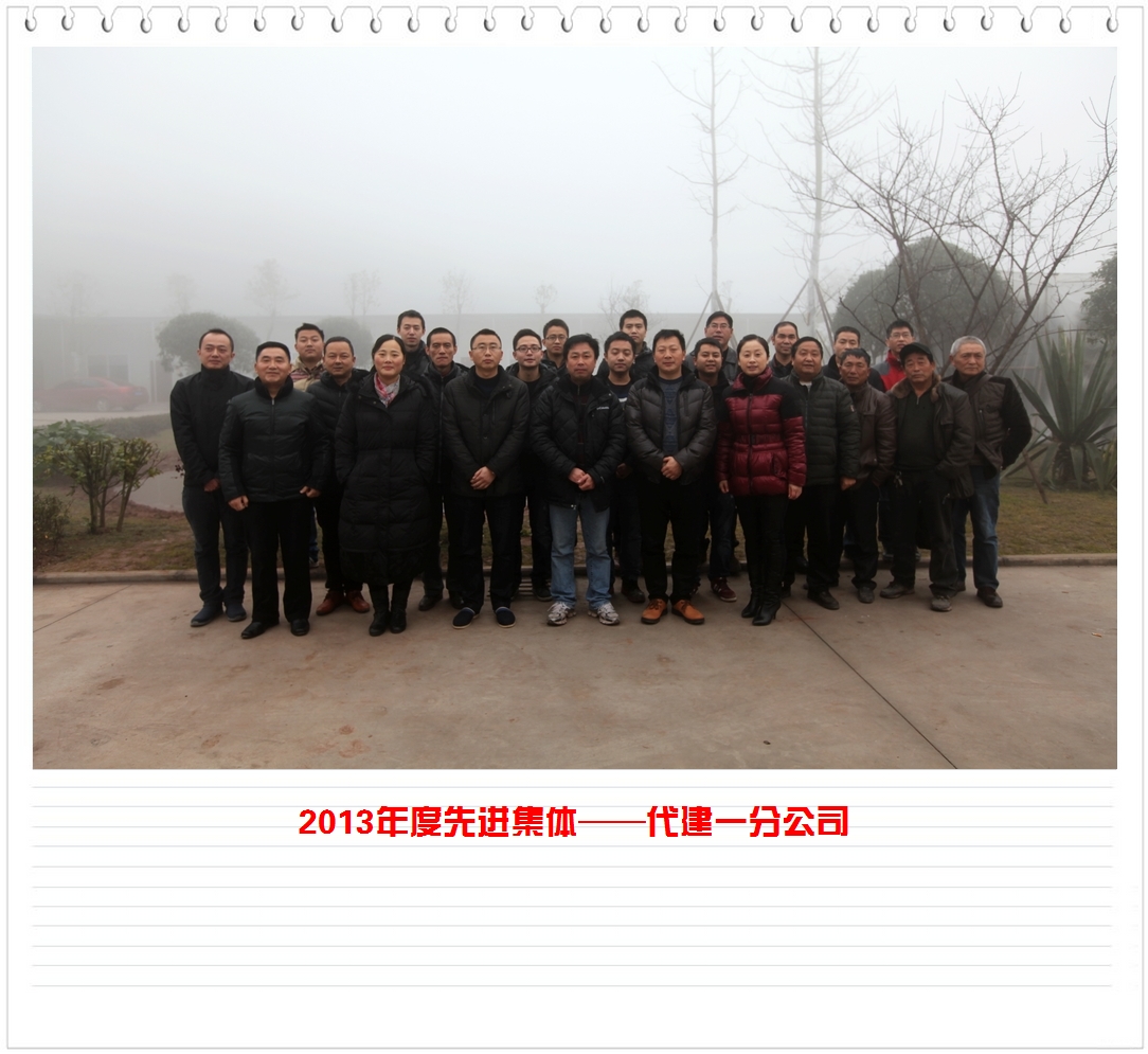 匯東股份2013年先進(jìn)集體及先進(jìn)個人（圖片展）