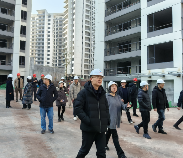 高新區管委會主任謝飛調研匯東鹽都印象項目