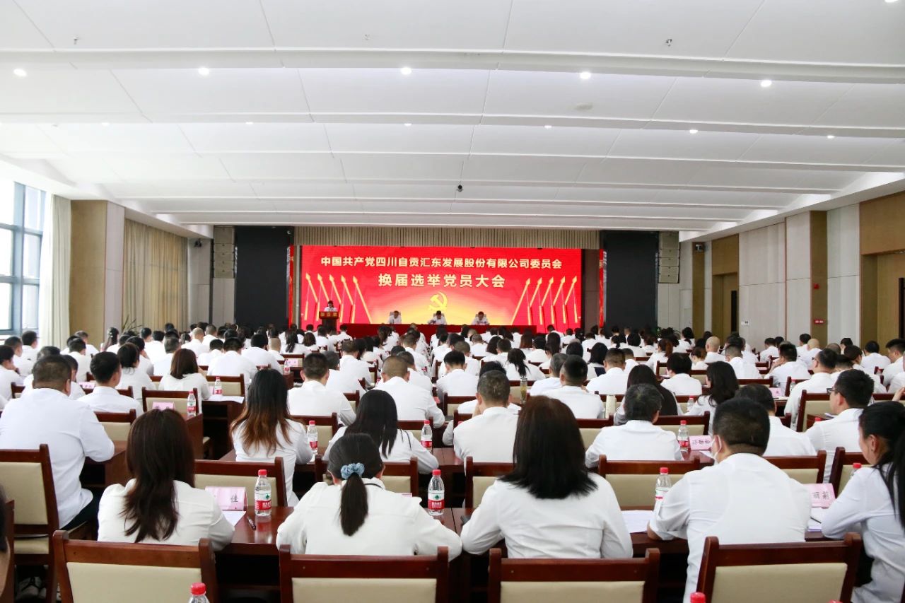 砥礪奮進(jìn)啟新程 凝心聚力譜新篇丨匯東股份公司黨委換屆選舉黨員大會順利召開
