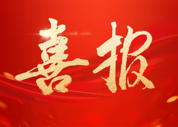 匯東股份公司及下屬企業(yè)2人榮獲自貢市2023年度重大項目攻堅先進(jìn)集體和先進(jìn)個人